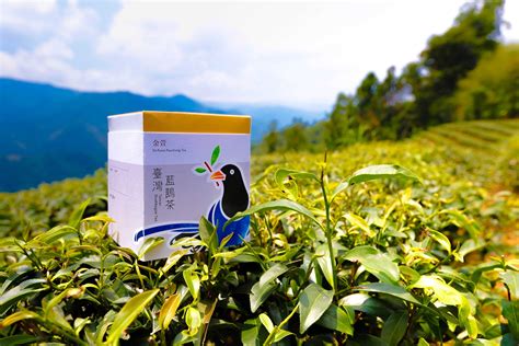 台灣 藍 鵲 茶